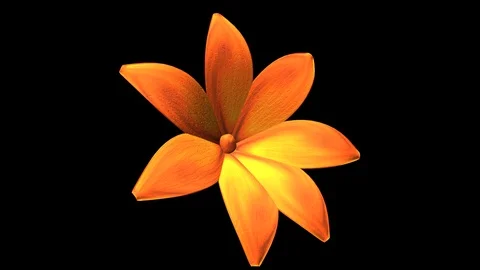 Alpha Channel 스톡 동영상 104173755