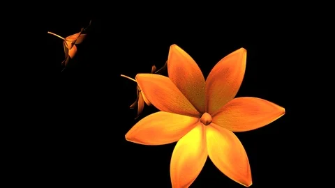 Alpha Channel Stock Footage 104173978