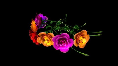 Alpha Channel Stock Footage 104174231