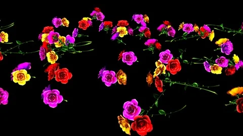 Alpha Channel 스톡 동영상 104174325