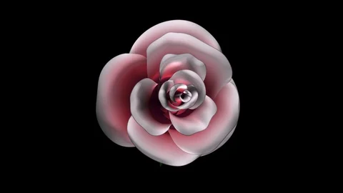 Alpha Channel Stock Footage 104174448