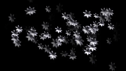 Alpha Channel Stock Footage 104174531