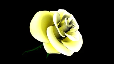 Alpha Channel Stock Footage 104174540