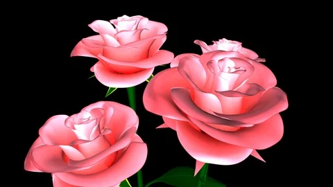 Alpha Channel Stock Footage 104174546