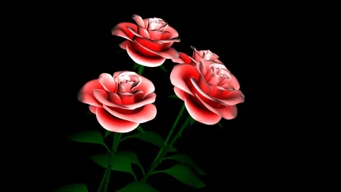 Alpha Channel Stock Footage 104174548