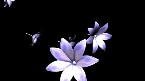 Alpha Channel Stock Footage 104174563