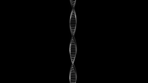 Alpha Channel Stock Footage 104175579