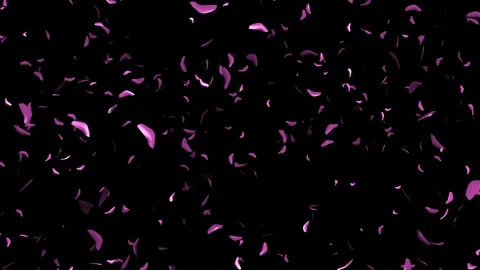 Alpha Channel Stock Footage 104175752