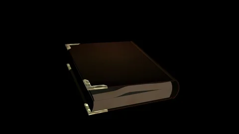 Alpha Channel Stock Footage 104175763