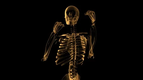 Alpha Channel Stock Footage 104175816