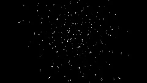 Alpha Channel Stock Footage 104176211