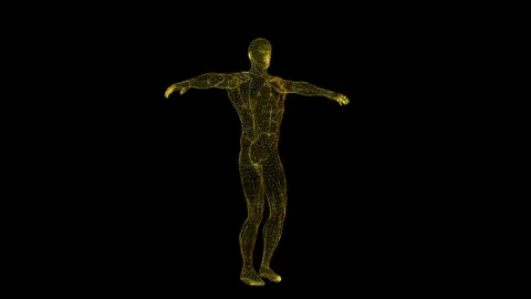 Alpha Channel Stock Footage 104176419