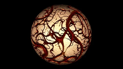 Alpha Channel Stock Footage 104176682