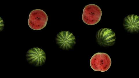 Alpha Channel Stock Footage 104176977