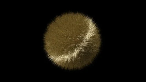 Alpha Channel Stock Footage 104177098