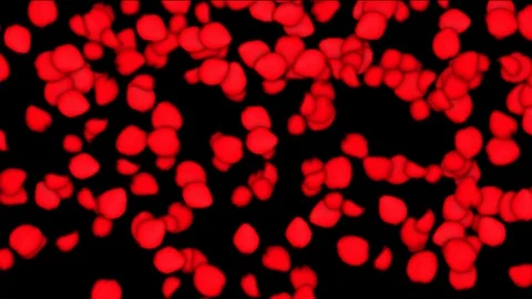 Alpha Channel Stock Footage 104177179