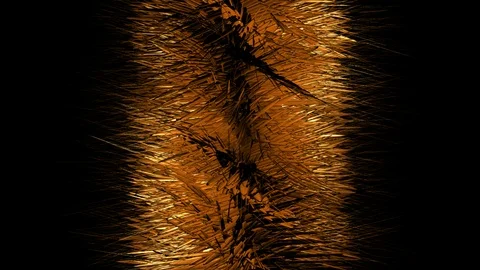 Alpha Channel Stock Footage 104178893