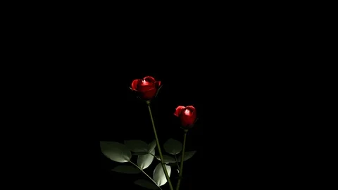 Alpha Channel Stock Footage 104180367