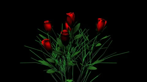 Alpha Channel Video stock 104180411