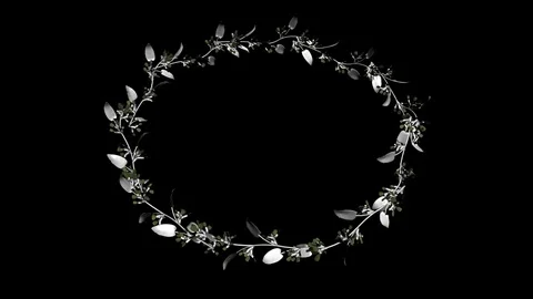 Alpha Channel Stock Footage 104182121