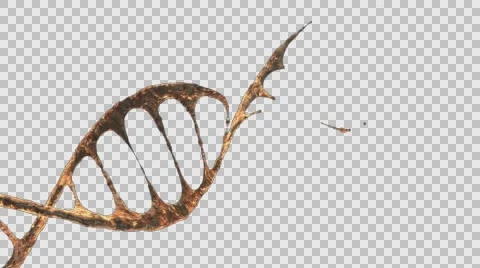 Alpha Channel the formation of the 3D rendering element of the structure of DNA Stock Footage 62892562