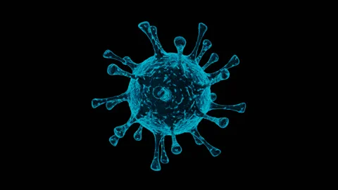 Alpha channel is included. Dynamic model of influenza virus (Covid-19) Stock Footage 135647124