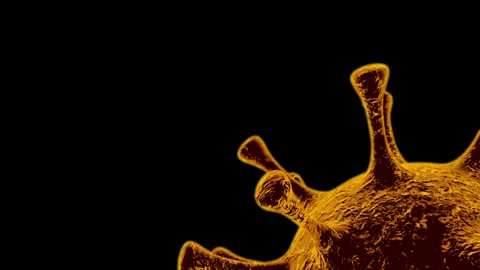 Alpha channel is included. Dynamic model of influenza virus (Covid-19) Stock Footage 135654354