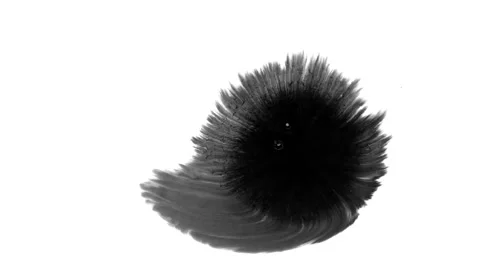 Alpha Channel Ink-08 Stockbeeldmateriaal 111898817
