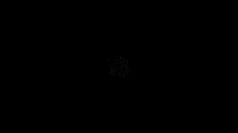 Alpha channel - Spreading Cherry blossom and petals Stock Footage 69903630