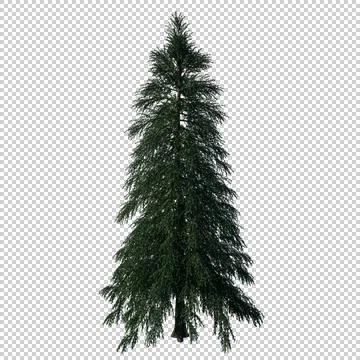Alpha Channel Tree Stock Photos