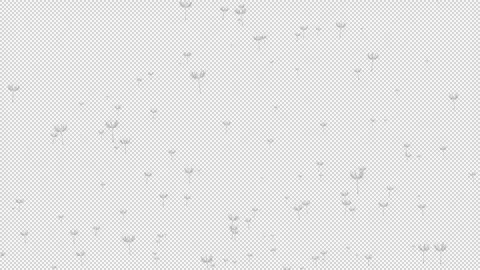 Alpha Dandelion is flying slowly Stock Footage 288074275