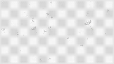Alpha Dandelions flying into the sky Stock Footage 310094302