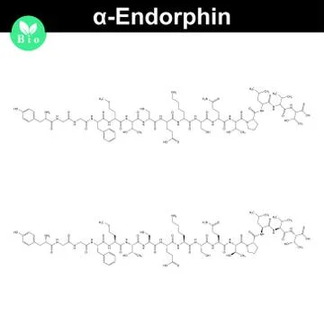 Alpha endorphin chemical structure Stock Illustration