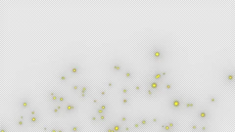 Alpha Fireflies at night are flying Stock Footage 288294126
