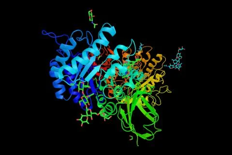 Alpha-galactosidase (3d structure), administered as enzyme replacement ther.. Stock Illustration