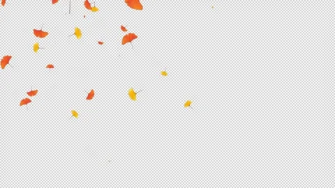 Alpha Ginkgo leaves slowly fall in autumn Stockbeeldmateriaal 321783344