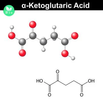 Alpha-Ketoglutaric acid molecule Ilustración de archivo