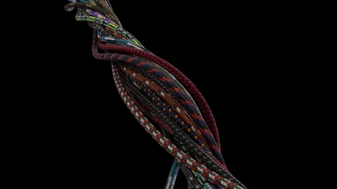 Alpha Mate.Abstract animation of ropes made in a graphic editor. Ropes. 3D Stock Footage 243924055