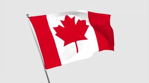 Alpha Material National Flag Canada 動画素材 239632113