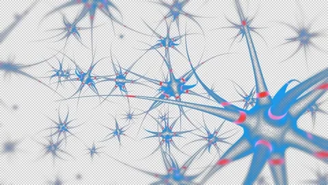 Alpha Neurons and synapses transmit signals Stock Footage 303547662