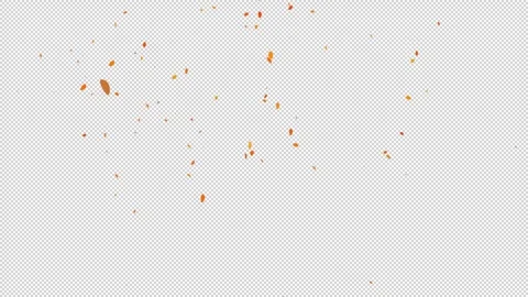 Alpha One leaf tells us that autumn is coming. Leaves are falling. Stock Footage 290996629