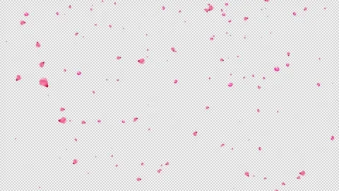Alpha Peach blossoms and cherry blossoms falling in the background Stock Footage 333877516