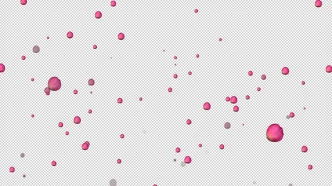 Alpha romantic rose petals falling Stock Footage 288083990