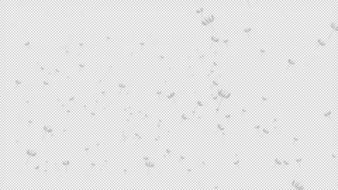 Alpha a sky full of dandelions flying towards the screen Stock Footage 292649200