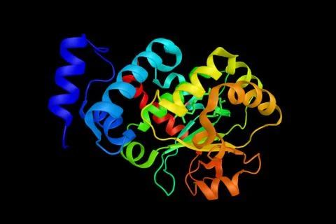 Alpha-tocopherol transfer protein, which transports its substrate between d.. Stock Illustration