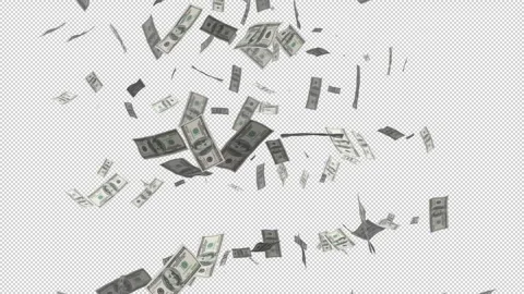 Alpha US dollar bills falling Stock Footage 340248835