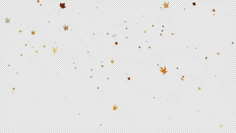 Alpha yellow maple leaves falling in the wind Stock Footage 320659816