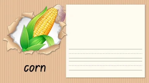 Alphabet Animation for Letter C with Corn Illustration and Handwriting Stock Footage 330145198