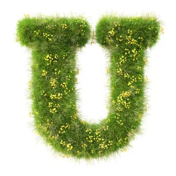 Alphabet Stock Illustration