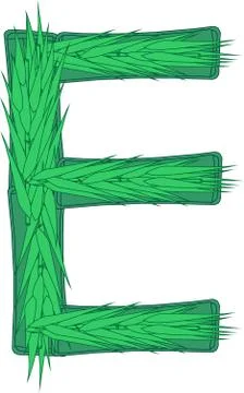 Alphabet letter E bamboo Stock Illustration